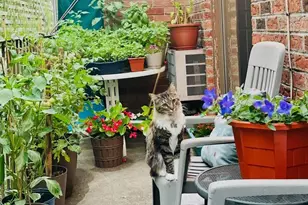 66-07 242nd St, Little Neck, NY 11362 - Photo 15