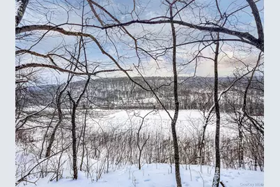 Betty Brook Road, Bloomville, NY 13842 - Photo 25