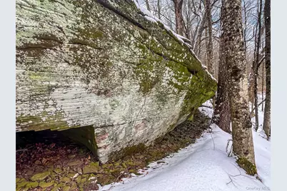 Betty Brook Road, Bloomville, NY 13842 - Photo 13