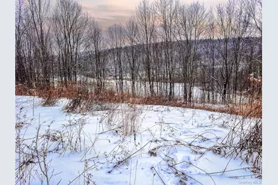 Betty Brook Road, Bloomville, NY 13842 - Photo 27