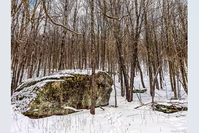 Betty Brook Road, Bloomville, NY 13842 - Photo 17