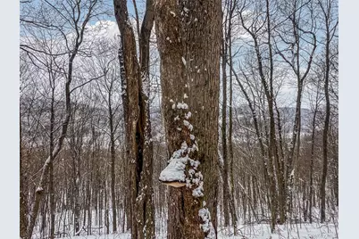 Betty Brook Road, Bloomville, NY 13842 - Photo 19