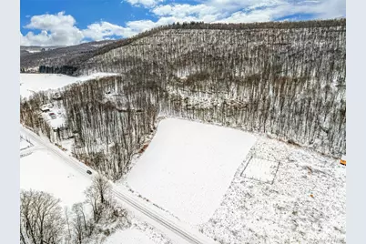 Betty Brook Road, Bloomville, NY 13842 - Photo 3