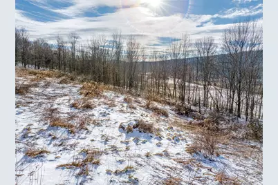 Betty Brook Road, Bloomville, NY 13842 - Photo 9