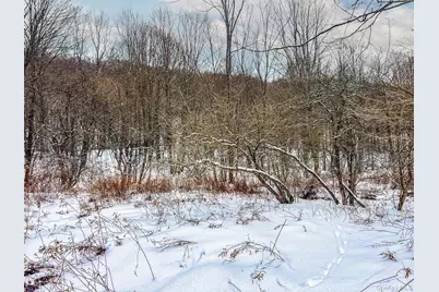 Betty Brook Road, Bloomville, NY 13842 - Photo 15