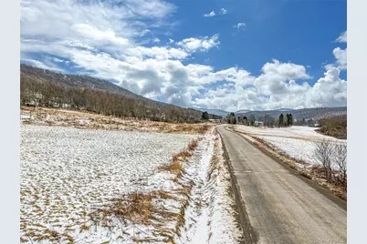 Betty Brook Road, Bloomville, NY 13842 - Photo 29