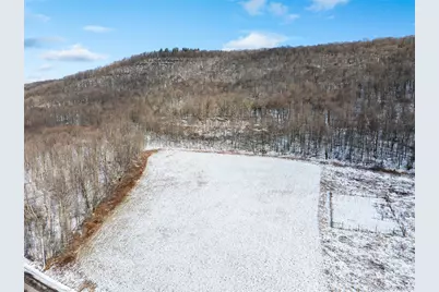 Betty Brook Road, Bloomville, NY 13842 - Photo 5
