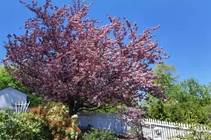 21 Lynwood Rd, Cortlandt Manor, NY 10567 - Photo 39