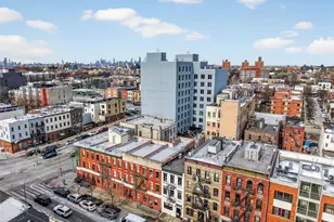 2347 Pacific St, Brooklyn, NY 11233 - Photo 31