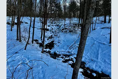 266 Pitts Road, Chatham, NY 12136 - Photo 11