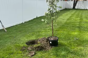 83 Lake Region Blvd, Monroe, NY 10950 - Photo 37