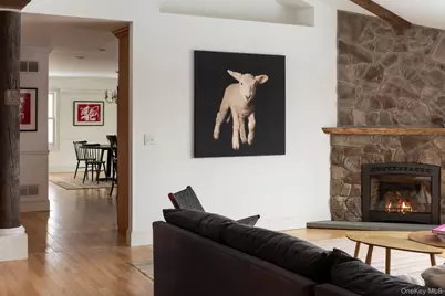 573 Mill Road, Rhinebeck, NY 12572 - Photo 3