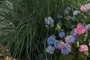 63 Franklin St, East Rockaway, NY 11518 - Photo 41