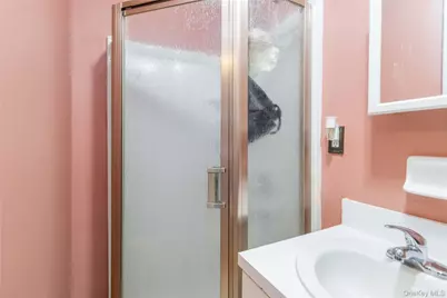 25 South Street, New York, NY 10310 - Photo 23