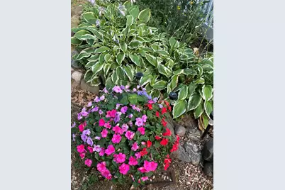 150-62 Village Road #102GC, Jamaica, NY 11432 - Photo 19