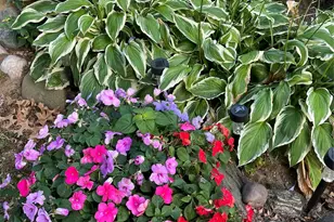 150-62 Village Rd, Jamaica, NY 11432 - Photo 19