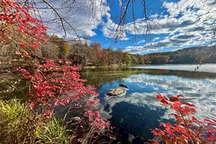 12 Skytop Dr, Katonah, NY 10536 - Photo 19