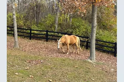 71 Frost Road, Rhinebeck, NY 12572 - Photo 5