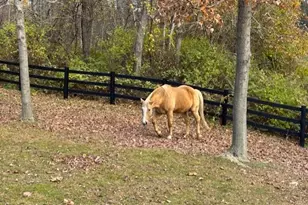 71 Frost Rd, Rhinebeck, NY 12572 - Photo 5