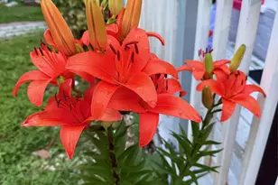 57 Boorman Rd, Middletown, NY 10940 - Photo 43