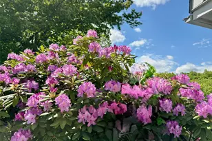 57 Boorman Rd, Middletown, NY 10940 - Photo 41