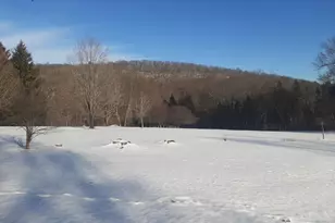 178 Sylvan Lake Rd, Hopewell Junction, NY 12533 - Photo 15