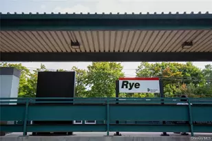 66 Milton Rd, Rye, NY 10580 - Photo 15