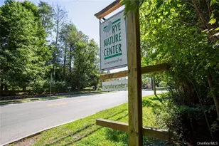 66 Milton Rd, Rye, NY 10580 - Photo 13