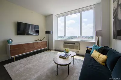 1 Third #424, Mineola, NY 11501 - Photo 19