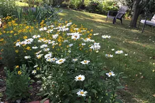 3 Vine Rd, Rocky Point, NY 11778 - Photo 19