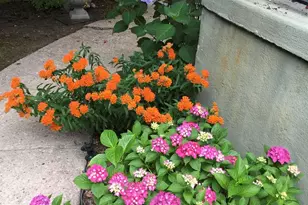 3 Vine Rd, Rocky Point, NY 11778 - Photo 15