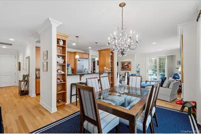 1 Christie Place #207 E, Scarsdale, NY 10583 - Photo 19