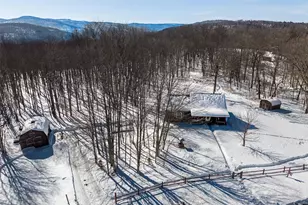 81 Mac Dougal Rd, Roscoe, NY 12776 - Photo 35