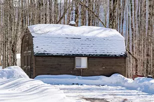 81 Mac Dougal Rd, Roscoe, NY 12776 - Photo 33