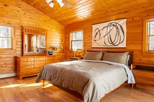 81 Mac Dougal Rd, Roscoe, NY 12776 - Photo 15