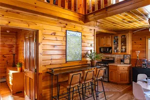 81 Mac Dougal Rd, Roscoe, NY 12776 - Photo 7