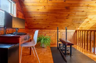 81 Mac Dougal Rd, Roscoe, NY 12776 - Photo 5