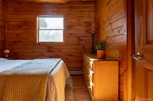 81 Mac Dougal Rd, Roscoe, NY 12776 - Photo 19