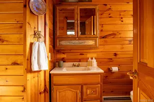 81 Mac Dougal Rd, Roscoe, NY 12776 - Photo 23