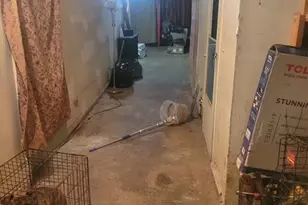 144-21 230th Pl, Rosedale, NY 11413 - Photo 13