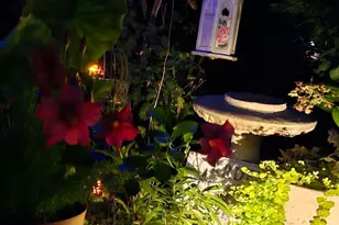 53 Jefferson Oval, Yorktown Heights, NY 10598 - Photo 19