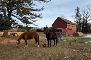 58 Coram Swezeytown Rd, Middle Island, NY 11953 - Photo 27