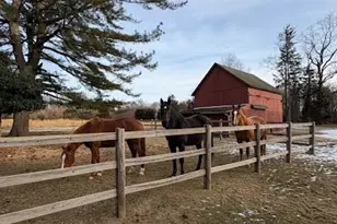 58 Coram Swezeytown Rd, Middle Island, NY 11953 - Photo 29