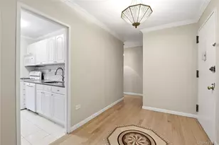 191 Willoughby St, Brooklyn, NY 11201 - Photo 13