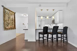 433 Main St, Port Washington, NY 11050 - Photo 7