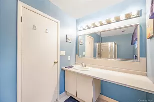 117 Laurel Ln, Wantagh, NY 11793 - Photo 19