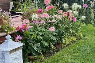 208 Emily Ave, Elmont, NY 11003 - Photo 3