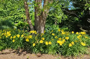 1680 Lands End Rd, Orient, NY 11957 - Photo 9