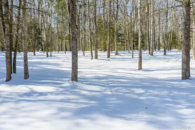 943 State Route 55, Eldred, NY 12732 - Photo 33