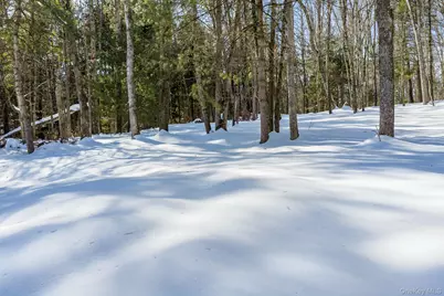 943 State Route 55, Eldred, NY 12732 - Photo 31